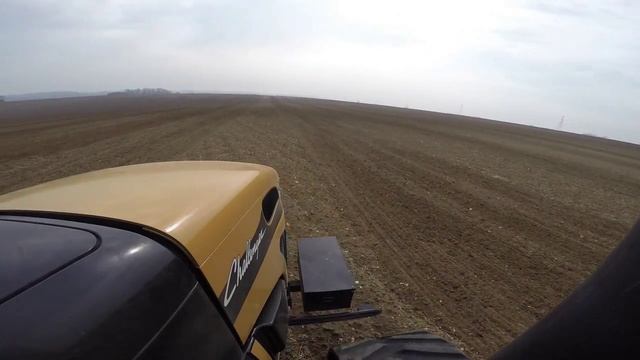 Challenger MT765C  Dal-Bo Rollomaximum XL 620. Pulling down ploughed land