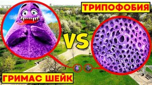 ТРИПОФОБИЯ vs ГРИМАС ШЕЙК **эпичное столкновение**