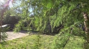 ВЛОГ День в Москве / Успела всё и даже больше / Велосипедная прогулка  16 июня 2018 г.