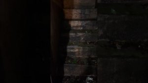 Nichia NUBM-44 V2 Single 7 Watt 405nm Laser Diode Pointer