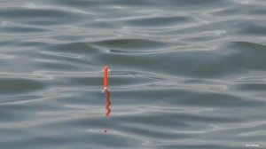 Расчистил место ловли и рыба приплыла, рыбалка на поплавочную удочку, улов карася весной 2023