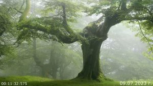 741 О боли 09.07.2023 г