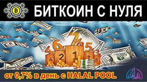 Доход от 0,7% в день это реальность ил фантастика? Обзор Halal Pool