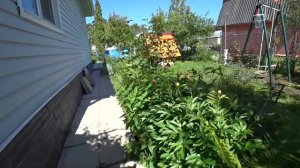 ВЛОГ Пора уезжать с дачи / Здравствуй Москва  15 июня 2018 г.