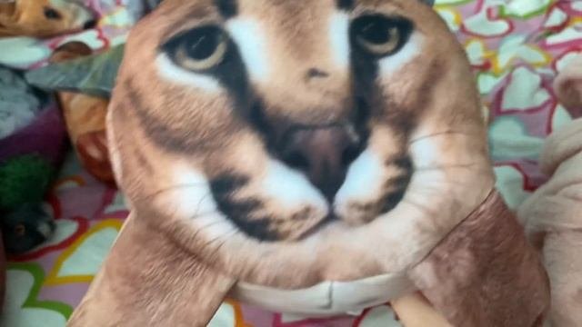 обзор на Кирилл плюш и не советую покупать эти игрушки