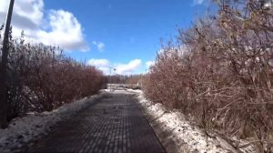 ВЛОГ Осваиваю подарок  / Квест в Алтуфьево / Электросамокат 25 марта 2019 г.