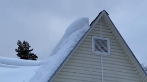 Рубят лес. Продают природу / Оставим детям планету пней ! / Подарок для мамы 7-8 февраля 2022 г.