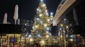 лучший новогодний Парк Галицкого Краснодар, прогулка 1ч