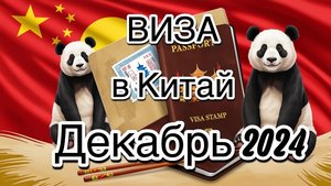 Как самостоятельно оформить визу в Китай. Декабрь 2024