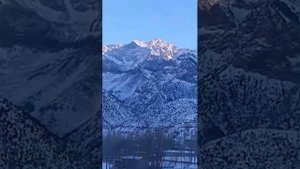 Дехаи Росровут