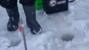 сёмкина 2 в комаровке