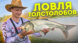ПЕРВАЯ РЫБАЛКА НА ТОЛСТОЛОБИКА, ЛОВЛЯ НА ПОПЛАВОК весна 2022