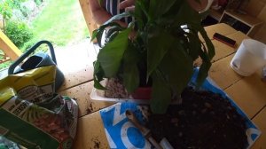 Строительство у соседей / Сбылась мечта Леночки / «Женское счастье» июль 2022 г.