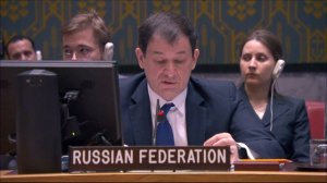 Statement by First Deputy Permanent Representative Dmitry Polyanskiy at a UNSC Briefing on Libya