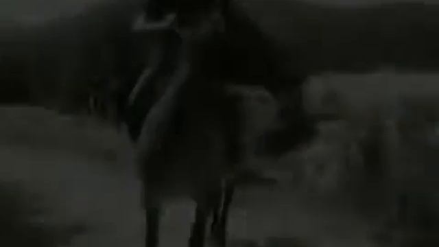 Черкес (шапсуг) тренировка на коне к наездничеству (аул Агуй-Шапсуг)