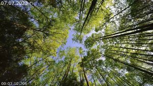 740 Упражнение 07.06.2023 г