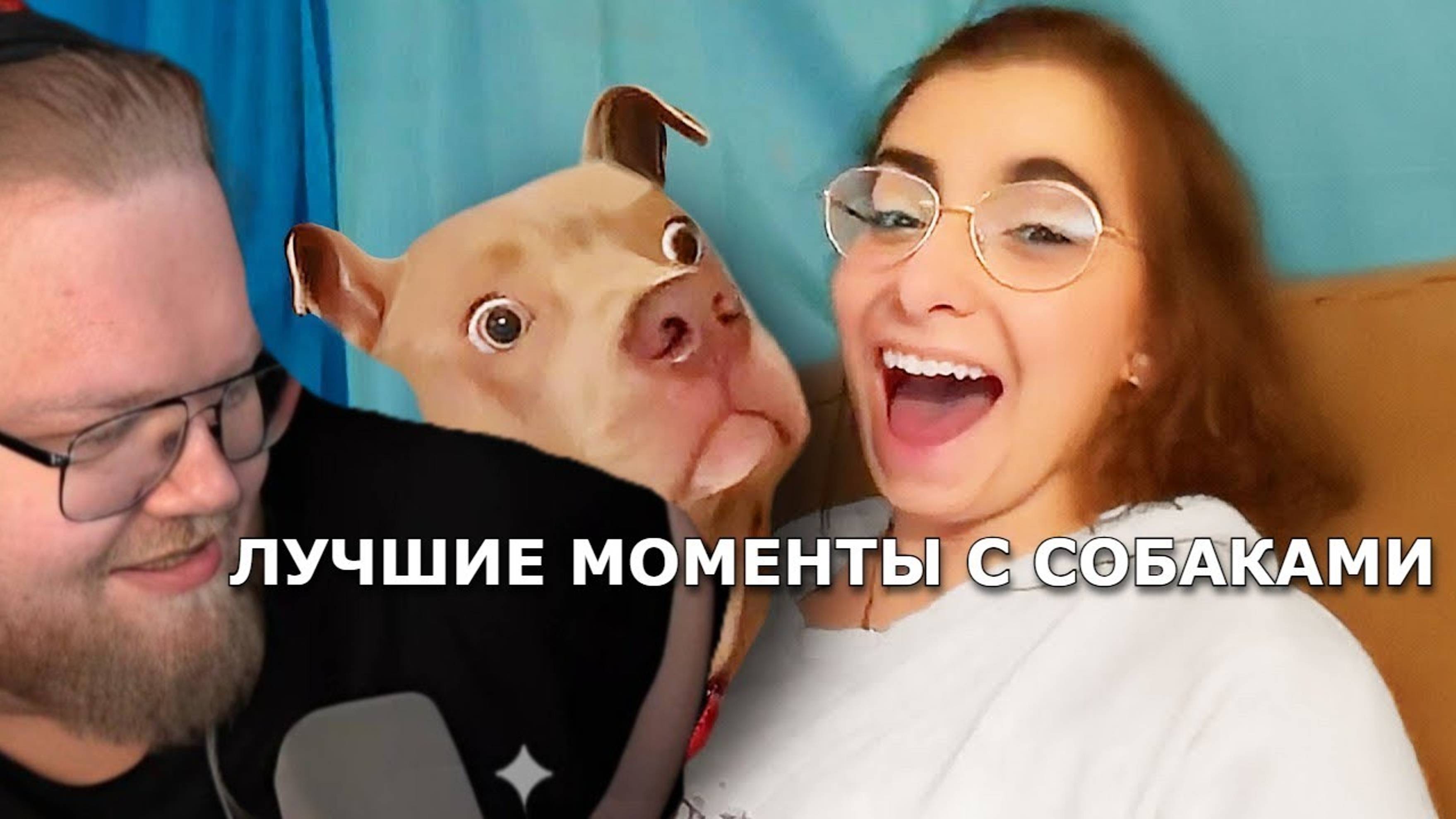 T2X2 СМОТРИТ - ПОДБОРКА СМЕШНЫХ МОМЕНТОВ С СОБАКАМИ смотреть онлайн