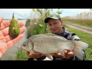 Тут много крупного карася, есть и сазан, поклёвки рыбы на фидерную снасть, рыбалка 2023 клёв рыбы