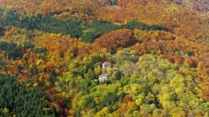 Красивый осенний лес