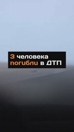 3 человека noгuблu в ДTП