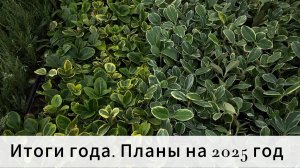 Конец сезона. Итоги. Планы на 2025 год