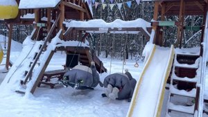 Мышата играют на площадке