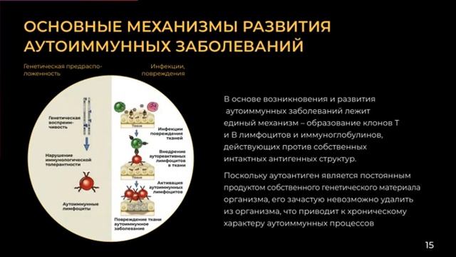 С.Карпова 15.06.24.  Аутоиммунные заболевания   что это Что поможет справиться?