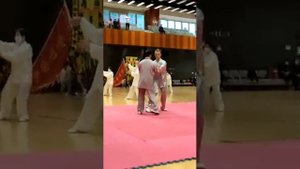 «Парная работа Туй шоу»