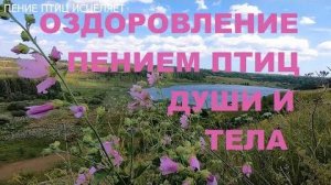 ПЕНИЕ ПЕРЕСМЕШКИ ОЧЕНЬ КРАСИВОЕ.НЕРВНАЯ СИСТЕМА УСПОКАИВАЕТСЯ-ДАВЛЕНИЕ ПРИХОДИТ В НОРМУ.