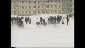 День Оленевода  соревнования 2000 год.