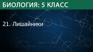 Биология 5 класс: Лишайники