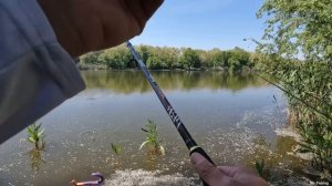 Тут есть крупный карась, побил рекорд, рыбалка на фидер, fishing 2022 рыбалка флэт фидер