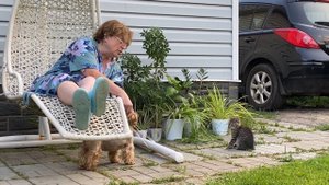 Кошки наглеют / Знакомство с Женей / Ответ про сайдинг / Готовим кукурузу 16 июля 2021 г.