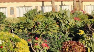 ТЕРРИТОРИЯ ОТЕЛЯ HAWAII RIVIERA ПОРАЗИЛА СВОЕЙ КРАСОТОЙ!