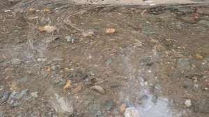 камень в воду