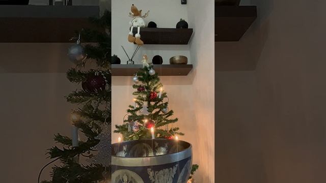 Поющая чаша 22,5 см Вес 1,53 кг Тональность Е3 Нота ми 165 Гц