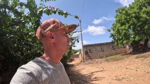 НЕДОРОГАЯ АРЕНДА ЖИЛЬЯ В КЕНИИ МТВАПА