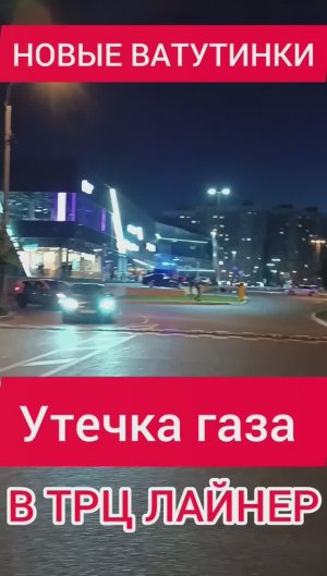 ТРЦ Лайнер Утечка газа  в ЖК Новые Ватутинки Новая Москва / Новостройки Москвы