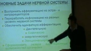 Академии прикладной кинезиологии проф. Васильевой Л.Ф Основы мышечного сокращения, ММТ