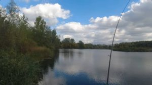 БАРАХОЛКА на Рыбалке - Лесной Днепр , Ловля Щуки на Блесну , Крутая Рыбалка