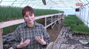 Плюс Вы 18.12.2024