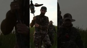 Работа Утиных Махокрылов. Смотрите в нашем выпуске Охота на Утку. #охота #hunting #охота2022