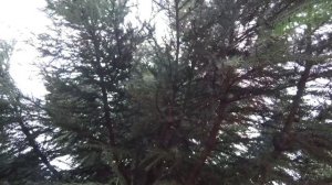 Креветки  / Всё можно но чуть-чуть / Вкусняшка 23 октября 2021 г.