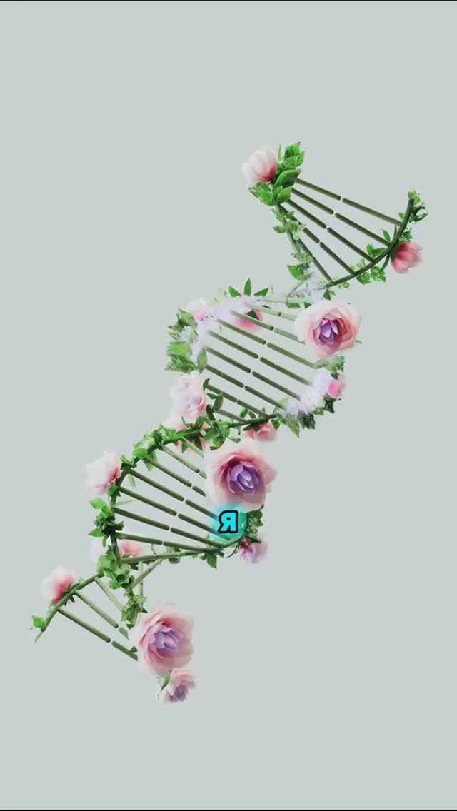 Когда слова становятся оружием: разбор семейных ролей! #семья #отношения #юмор смотреть онлайн