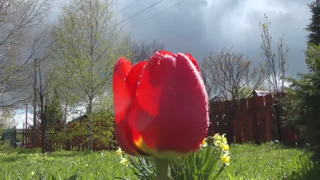 Зачарованые мгновения