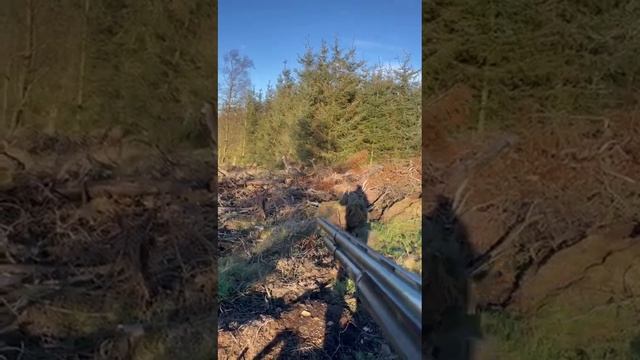 добрая охота смотреть онлайн