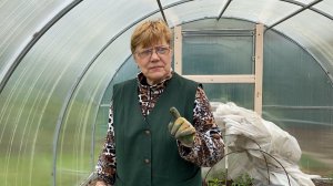 Что то «мужские томаты» не тянут на мужские  / Когда очнётся виноград / У Любаши 14-15 мая 2022 г.