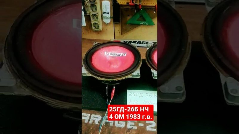 25ГД-26Б 25ГДН 4 ОМ 1983 Г.В. НЧ САБВУФЕР УСИЛИТЕЛЬ Dubstep subwoofer amplifier auto music car DIY