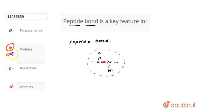 Peptide bond is a key feature in: | 12 | SYNTHETIC AND NATURAL POLYMERS | CHEMISTRY | CENGAGE CH...