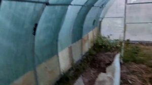 Как восстановить теплицу после обрушения